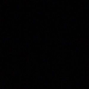 Meet your Posher, Momy